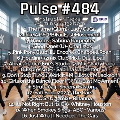 Pulse 484 - Instructor..